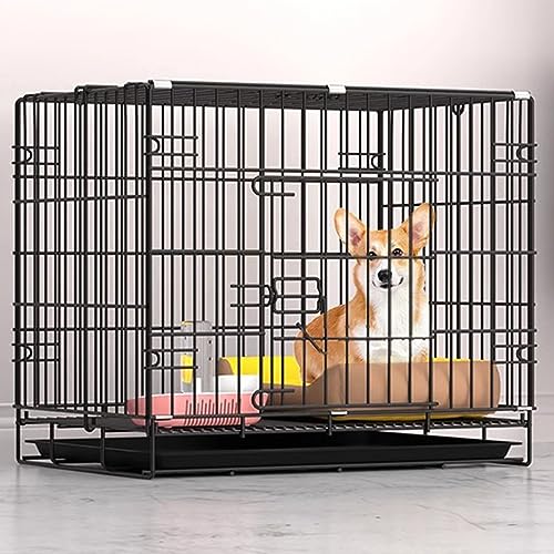 Katzenzaun, Indoor-Trainingszaun, Katzenzaun, faltbar, leicht zu tragen, Outdoor-Reise-Katzenkäfig, Drahtkäfig für Meerschweinchen, Frettchen, perfekt für Welpen, Katzen (Farbe: Sc Katzenzaun, Indoor-Trainingszaun, Katzenzaun, faltbar, leicht zu tragen, Outdoor-Reise-Katzenkäfig, Drahtkäfig für Meerschweinchen, Frettchen, perfekt für Welpen, Katzen (Farbe: Sc von AEGCAOJH