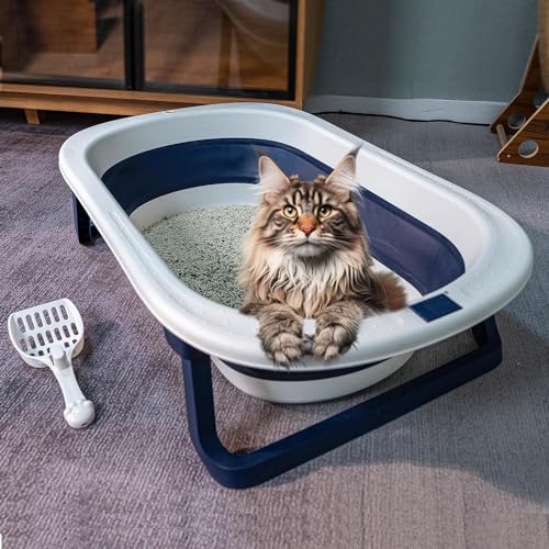 AEGISTO Extra große Katzentoilette, 45 Liter, ideal für große Katzen, XL-Standard-Katzentoilette, 48 cm B x 70,7 L x 20,9 cm H, antihaftbeschichtet, langlebig, leicht zu reinigen AEGISTO Extra große Katzentoilette, 45 Liter, ideal für große Katzen, XL-Standard-Katzentoilette, 48 cm B x 70,7 L x 20,9 cm H, antihaftbeschichtet, langlebig, leicht zu reinigen von AEGISTO