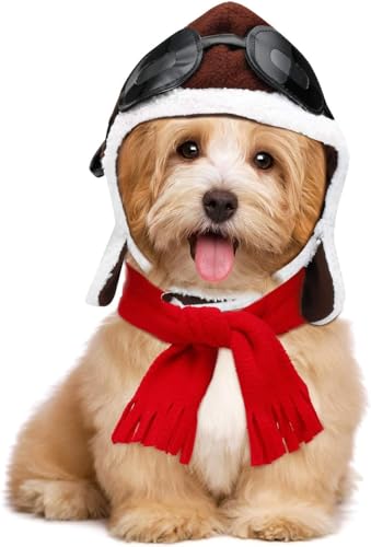 AEGISTO Haustier Halloween Kostüm Haustier Hut Schal Set Hund Kostüm Cosplay Kostüme AEGISTO Haustier Halloween Kostüm Haustier Hut Schal Set Hund Kostüm Cosplay Kostüme von AEGISTO