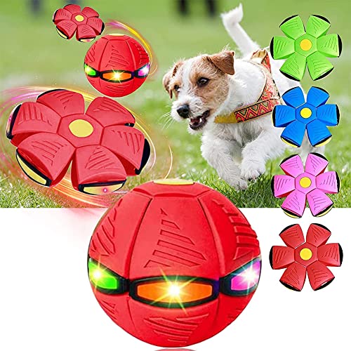 AEHO Pet Toy Flying Saucer Ball, Frisbee Ball, Hund Spielzeug, Haustier Spielzeug Frisbee Ball, Haustier Frisbee Ball, Hund Frisbee Ball,Rot,3 Lights von AEHO