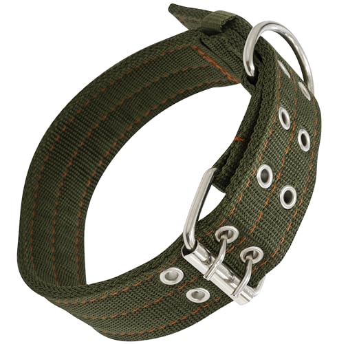 AERZETIX - C68705 - Verstellbares Halsband für Hunde 3.9x61 cm - aus Stoff - Farbe grün - haushaltsüblich Geschenk zubehör Leine geschirre Sicherheit Haustiere von AERZETIX