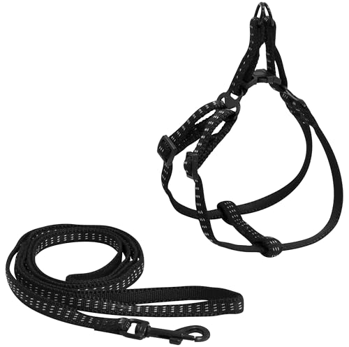 AERZETIX - C68706 - Leinen-Set, Seil 120 cm mit verstellbarem Geschirr für Hunde - Sicherheit für Haustiere - aus Polyester - Farbe schwarz von AERZETIX