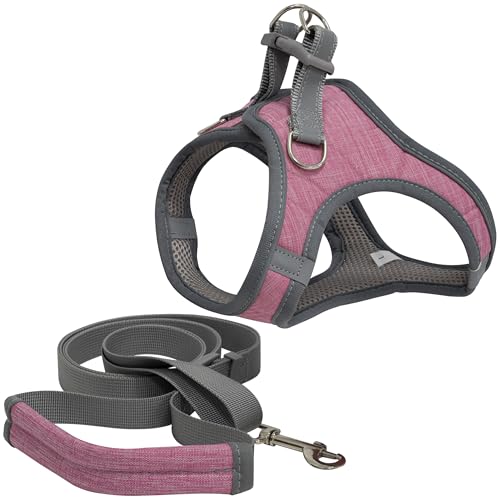 AERZETIX - C68773 - Seil-Leinen-Set - verstellbar - Größe L von 110 bis 195 cm mit Hundegeschirr - Leinenbreite 2 cm - rosafarben - Sicherheit für Haustiere - aus Polyester von AERZETIX