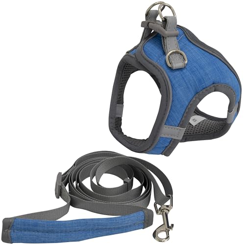 AERZETIX - C68777 - Seil-Leinen-Set - verstellbar - Größe XS von 110 bis 195 cm mit Hundegeschirr - Leinenbreite 1.5 cm - Farbe blau - Sicherheit für Haustiere - aus Polyester von AERZETIX