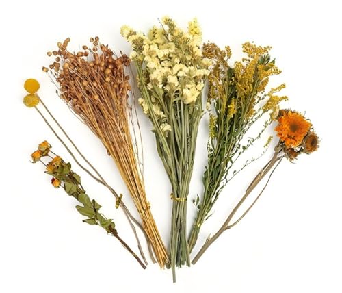 Blumenhamster, Bettwäsche, Mäuse, Lebensraum, Dekoration, Kleintierblumen, Lebensraum, Dekoration, natürliche Kornohren, Blume, Hamstersprays für Rennmäuse (#1, Einheitsgröße) von AESZITTEW