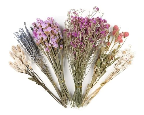 Blumenhamster, Bettwäsche, Mäuse, Lebensraum, Dekoration, Kleintierblumen, Lebensraum, Dekoration, natürliche Kornohren, Blume, Hamstersprays für Rennmäuse (#2, Einheitsgröße) von AESZITTEW