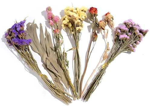 Blumenhamster, Bettwäsche, Mäuse, Lebensraum, Dekoration, Kleintierblumen, Lebensraum, Dekoration, natürliche Kornohren, Blume, Hamstersprays für Rennmäuse (#3, Einheitsgröße) von AESZITTEW