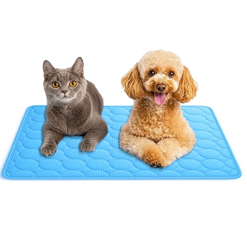 AEYAKA Kühlmatte für Hund Kühlkissen Haustier Trainingspads Waschbares Matte für Hunde und Katze, rutschfest & Vielseitig Einsetzbar für Zuhause, Unterwegs & im Auto Blau 60 x 50 cm AEYAKA Kühlmatte für Hund Kühlkissen Haustier Trainingspads Waschbares Matte für Hunde und Katze, rutschfest & Vielseitig Einsetzbar für Zuhause, Unterwegs & im Auto Blau 60 x 50 cm von AEYAKA