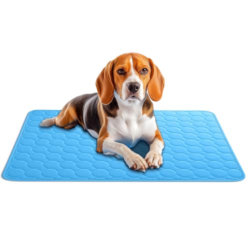 AEYAKA Kühlmatte für Hund Kühlkissen Haustier Trainingspads Waschbares Matte für Hunde und Katze, rutschfest & Vielseitig Einsetzbar für Zuhause, Unterwegs & im Auto Blau 70 x 55 cm von AEYAKA