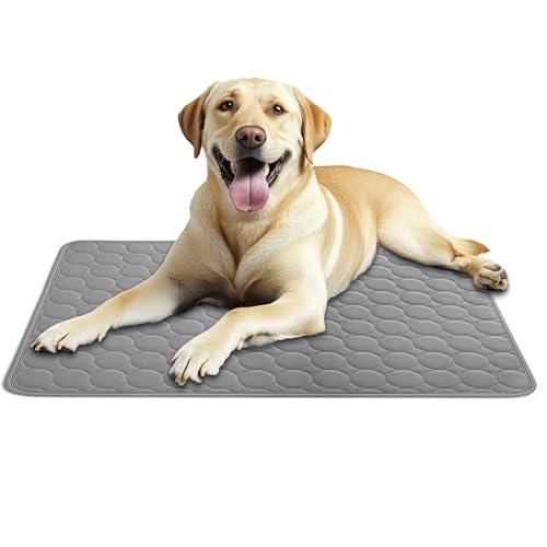 AEYAKA Kühlmatte für Hund Kühlkissen Haustier Trainingspads Waschbares Matte für Hunde und Katze, rutschfest & Vielseitig Einsetzbar für Zuhause, Unterwegs & im Auto Grau 100 x 70 cm von AEYAKA