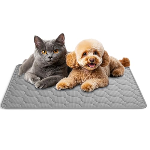 AEYAKA Kühlmatte für Hund Kühlkissen Haustier Trainingspads Waschbares Matte für Hunde und Katze, rutschfest & Vielseitig Einsetzbar für Zuhause, Unterwegs & im Auto Grau 60 x 50 cm AEYAKA Kühlmatte für Hund Kühlkissen Haustier Trainingspads Waschbares Matte für Hunde und Katze, rutschfest & Vielseitig Einsetzbar für Zuhause, Unterwegs & im Auto Grau 60 x 50 cm von AEYAKA