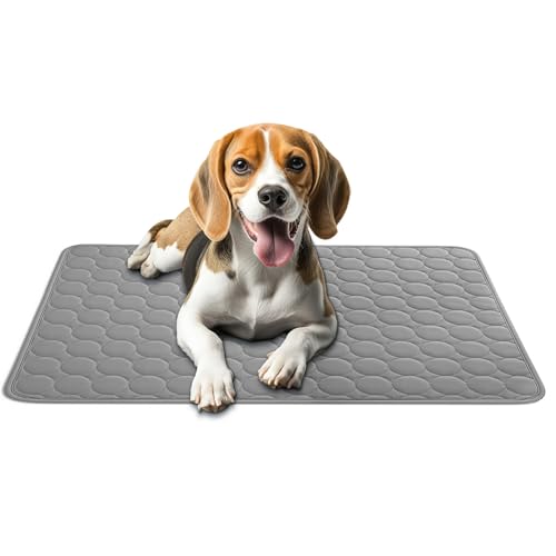 AEYAKA Kühlmatte für Hund Kühlkissen Haustier Trainingspads Waschbares Matte für Hunde und Katze, rutschfest & Vielseitig Einsetzbar für Zuhause, Unterwegs & im Auto Grau 70 x 55 cm AEYAKA Kühlmatte für Hund Kühlkissen Haustier Trainingspads Waschbares Matte für Hunde und Katze, rutschfest & Vielseitig Einsetzbar für Zuhause, Unterwegs & im Auto Grau 70 x 55 cm von AEYAKA
