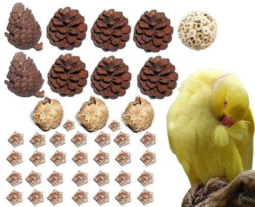 AEspares 41 Stück Vogelspielzeug, interaktives und langlebiges Spielspielzeug für Haustiere, Vögel, Papageien, Nymphensittiche, Sittiche, Wellensittiche, andere Papageien, Rassen und Vogelrassen AEspares 41 Stück Vogelspielzeug, interaktives und langlebiges Spielspielzeug für Haustiere, Vögel, Papageien, Nymphensittiche, Sittiche, Wellensittiche, andere Papageien, Rassen und Vogelrassen von AEspares