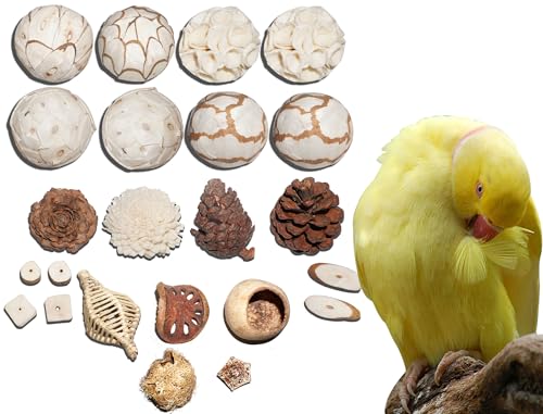 AEspares Bird Toys Interaktives und langlebiges Spielspielzeug für Haustiere, Vögel, Papageien, Nymphensittiche, Sittiche, Wellensittiche, andere Papageien, Rassen und Vogelrassen (Vogelspielzeug-Set, AEspares Bird Toys Interaktives und langlebiges Spielspielzeug für Haustiere, Vögel, Papageien, Nymphensittiche, Sittiche, Wellensittiche, andere Papageien, Rassen und Vogelrassen (Vogelspielzeug-Set, von AEspares