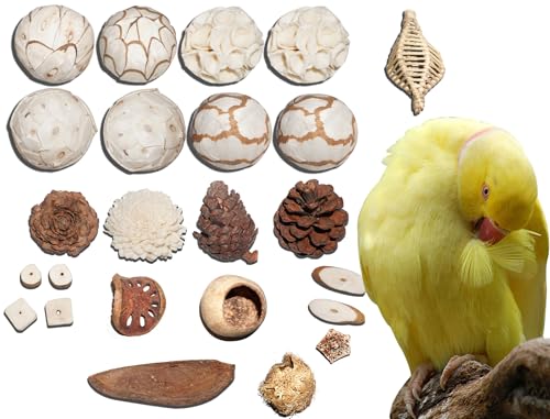 AEspares Vogelspielzeug, interaktives und langlebiges Spielzeug für Haustiere, Vögel, Papageien, Nymphensittiche, Sittiche, Wellensittiche, andere Papageien, Rassen und Vogelrassen, 24 Stück AEspares Vogelspielzeug, interaktives und langlebiges Spielzeug für Haustiere, Vögel, Papageien, Nymphensittiche, Sittiche, Wellensittiche, andere Papageien, Rassen und Vogelrassen, 24 Stück von AEspares
