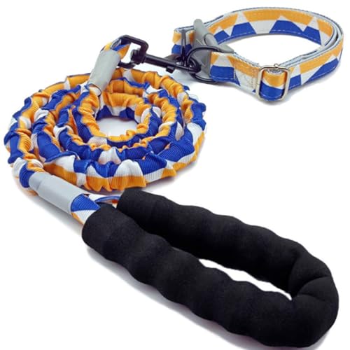 Hundeleine Dog Leash Skalierbar Bequem Gepolsterter Griff Explosionsgeschütztes P Seil Trainingsseil Kleine Mittelgroße Große Hunde-Blue Hundeleine Dog Leash Skalierbar Bequem Gepolsterter Griff Explosionsgeschütztes P Seil Trainingsseil Kleine Mittelgroße Große Hunde-Blue von AFHDKB