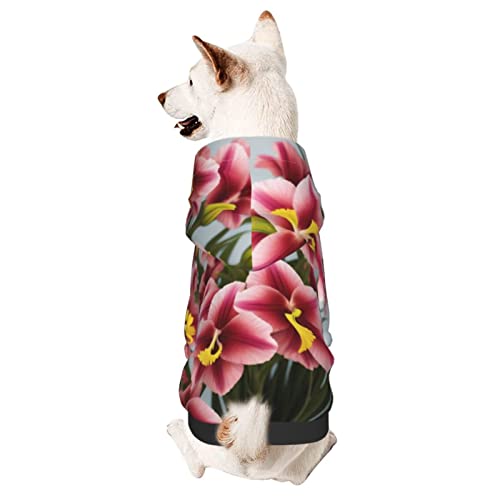 Gladiolus Hunde-Kapuzenpullover mit Blumenmuster, Haustierkleidung, Pullover mit Hut, weicher Mantel für kleine, mittelgroße und große Hunde von AFINDI