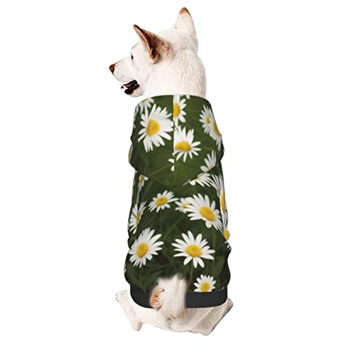 Hunde-Kapuzenpullover mit Gänseblümchen, weicher Mantel für kleine, mittelgroße und große Hunde von AFINDI