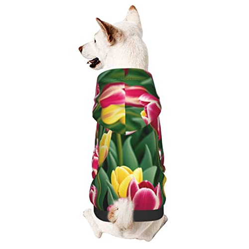Hunde-Kapuzenpullover mit Hut, weicher Mantel für kleine, mittelgroße und große Hunde von AFINDI