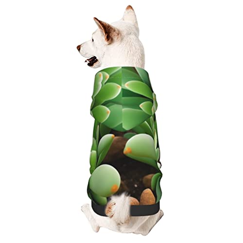 Hunde-Kapuzenpullover mit niedlichem Kaktusmuster, Haustierkleidung mit Hut, weicher Mantel für kleine, mittelgroße und große Hunde von AFINDI