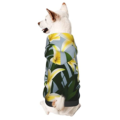 Lily Hunde-Kapuzenpullover, Haustierkleidung mit Mütze, weicher Mantel für kleine, mittelgroße und große Hunde von AFINDI
