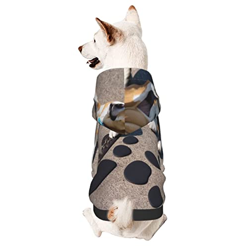 Niedlicher Hunde-Kapuzenpullover mit Mütze, weicher Mantel für kleine, mittelgroße und große Hunde von AFINDI