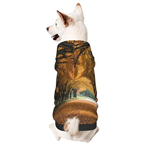 The Road to Park Hunde-Kapuzenpullover mit Mütze, weicher Mantel für kleine, mittelgroße und große Hunde von AFINDI