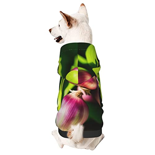 Zwiebel-Hunde-Kapuzenpullover, Haustierkleidung mit Hut, weicher Mantel für kleine, mittelgroße und große Hunde von AFINDI