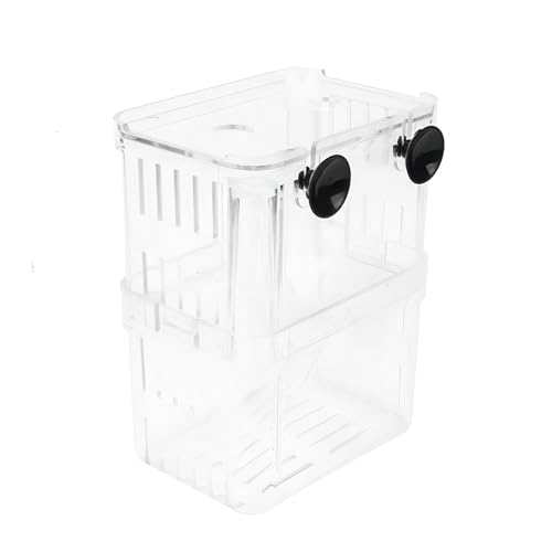 AFIODA Aquarium Fisch Zuchtbox - Transparenter Kunststoff Züchter Brutkasten für Fischtank, Isolation Brutkasten für Babyfische, Garnelen, Guppy, Clownfisch - Kleine Frittierkasten mit Trennwand AFIODA Aquarium Fisch Zuchtbox - Transparenter Kunststoff Züchter Brutkasten für Fischtank, Isolation Brutkasten für Babyfische, Garnelen, Guppy, Clownfisch - Kleine Frittierkasten mit Trennwand von AFIODA
