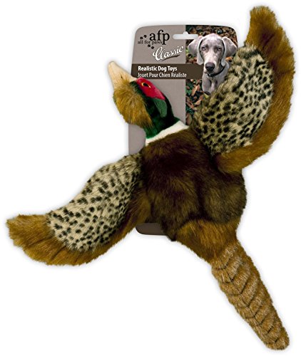 AFP AFPH04005 Hundespielzeug Pheasant, S von ALL FOR PAWS
