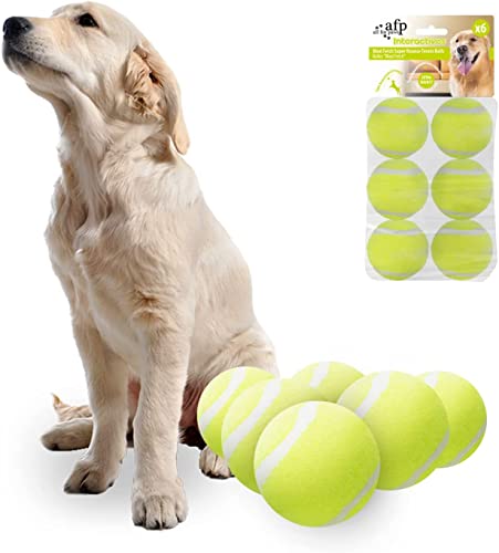 All for Paws Hundespielzeug Bälle passend für Ballwerfer, Hyper Apportier-Tennisball, lustige Sportbälle für Training, Maxi-Ball 6,3 cm von ALL FOR PAWS