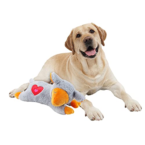 All for Paws Welpe Angst Relief Comfort Toy, Hund Einschlafhilfe Plüschtier Herz Beat Verhalten Hilfe Spielzeug für Welpen von ALL FOR PAWS