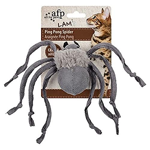 ALL FOR PAWS Lamb Ping Pong Spider Katzenminze Spielzeug ALL FOR PAWS Lamb Ping Pong Spider Katzenminze Spielzeug von ALL FOR PAWS