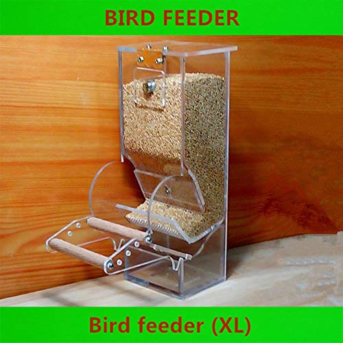AFRUDDR Bird Tools Automatische Futterautomaten Starling Parrot Bird Equipment Diät-Tools Kleine Vogelhäuschen Transparente Lebensmittelbehälter, Weiß, XL von AFRUDDR