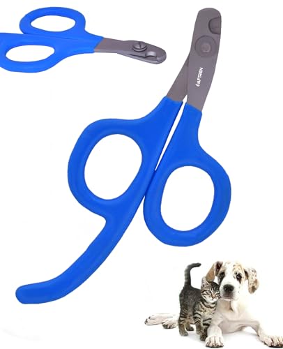 Professionelle Krallenknipser für Haustiere, Krallenknipser für Kaninchen, Krallenknipser aus Edelstahl, Krallenknipser für Katzen, Meerschweinchen, Vögel, Welpen, Kätzchen, Hunde (Blau, 5,5 Zoll) Professionelle Krallenknipser für Haustiere, Krallenknipser für Kaninchen, Krallenknipser aus Edelstahl, Krallenknipser für Katzen, Meerschweinchen, Vögel, Welpen, Kätzchen, Hunde (Blau, 5,5 Zoll) von AFTREN
