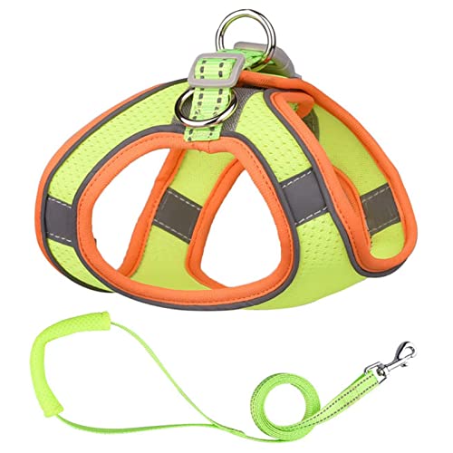 Sicherheitswesten Reflektierende Hundegeschirr Leine Set Nylon Haustier Katze Harness Hundeleine Verstellbare Haustiergurtweste for Welpen Medium Hund Haustierbedarf Reflektierende Westen (Color : Gr von AGBARR