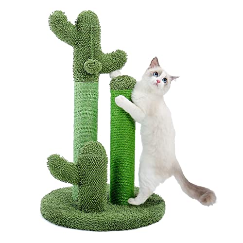 53,3 cm für Kratzbaum Kaktus, lustiger Kätzchen-Kratzbaum für Kratzer, für Innenkatzen, Kätzchen, schöne Deko-Kratzbäume für Indoor-Katzen von AGONEIR