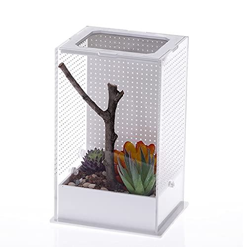 Futterbox Kunststoff Terrarium transparente Behälter für Spinnen, Eidechsen, Frösche, Mantisen, tragbarer Lebensraum für kleine Haustiere, S/L Futterbox für Reptilien von AGONEIR