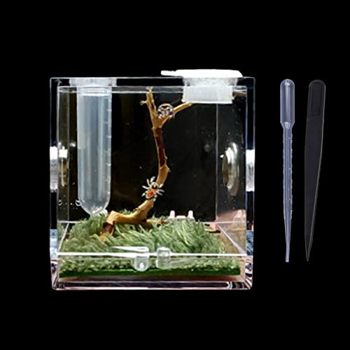 Transparente Spinnen Zuchtbox Vollansicht oben Fütterung Belüftung Kleine Reptilien Acryl Lebensraum Käfig Anti-Flucht Lebensräume und Terrarien Kit von AGONEIR