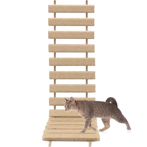 Katzenkletterleiter und Brücke, erweiterbarer Spielplatz für drinnen und draußen, für Katzen und kleine Haustiere (Holzton, L-101,6 cm) von AGRICUE