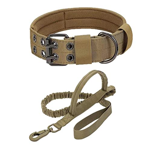 AGSYFFD Nylon-Hundehalsband, 5 Positionen, verstellbare Schnalle, Haustierhalsband für kleine, mittelgroße und große Haustier-Hundehalsbänder von AGSYFFD