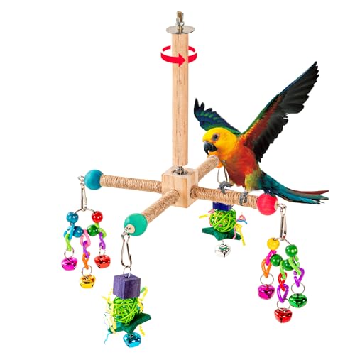AGX Bravo Vogelsitzstange Spielzeug Papagei Interaktives Drehspielzeug Vogel Holzkäfig Zubehör für kleine und mittelgroße Papageien Holzständer Sitzstange für Sittiche Nymphensittiche Lovebirds AGX Bravo Vogelsitzstange Spielzeug Papagei Interaktives Drehspielzeug Vogel Holzkäfig Zubehör für kleine und mittelgroße Papageien Holzständer Sitzstange für Sittiche Nymphensittiche Lovebirds von AGX Bravo