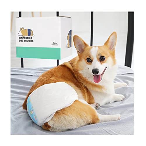 Einweg-Hundewindeln für Rüden, Größe XL, weiche und bequeme Haustierwindeln für große Hunde, Taille 62–74 cm (Farbe: 20 Stück) von AGYH