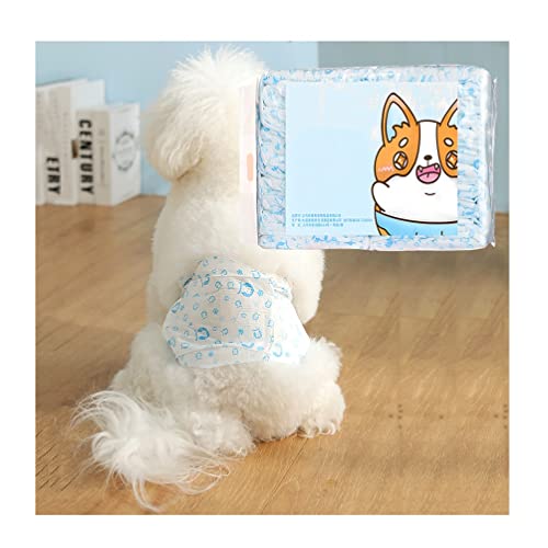Einweg-Hundewindeln für Rüden, bequem und verstellbar, Taille 17–80 cm, 20 Stück (Größe M: M) von AGYH