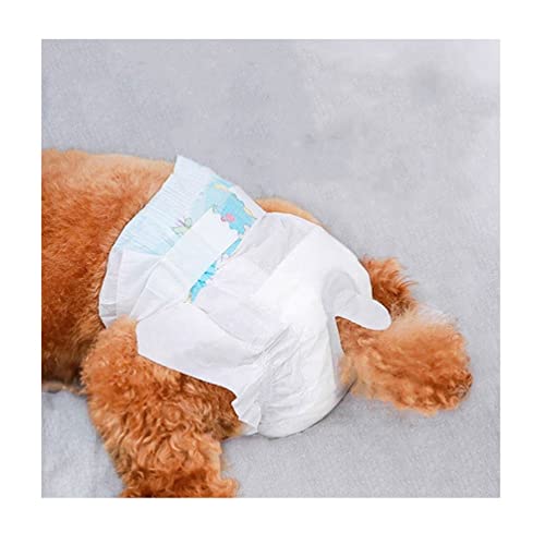 Einwegwindeln für Hündinnen, Größe XXS, weiche und bequeme Haustierwindeln für kleine Hunde, Taille 26–28 cm (Farbe: 30 Stück) von AGYH