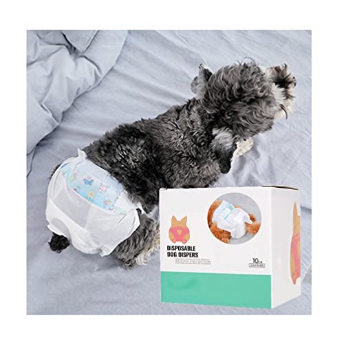 Hundewindeln für Hündinnen, Größe M, verstellbare Taille und auslaufsichere Hundeunterwäsche für kleine und mittelgroße Hunde, Taille 33–43 cm (Farbe: 30 Stück) von AGYH