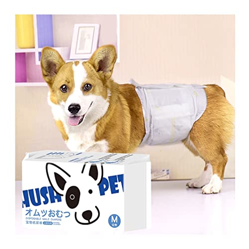Hundewindeln für männliche Hunde, Größe M, bequem und schnell trocknend, 43,1–55,8 cm, 12 Stück Hundewindeln für männliche Hunde, Größe M, bequem und schnell trocknend, 43,1–55,8 cm, 12 Stück von AGYH