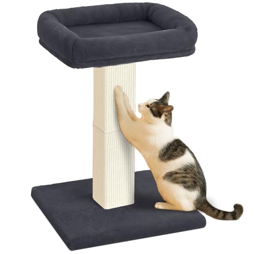 AGYM Katzenkratzbaum, 81,3 cm, Katzenkratzbaum mit großer Plüsch-Sitzstange, Sisal- und Teppich-Kratzbaum, vertikale Pfosten mit erhöhtem Bett für Hauskatzen, abnehmbarer und waschbarer Bezug AGYM Katzenkratzbaum, 81,3 cm, Katzenkratzbaum mit großer Plüsch-Sitzstange, Sisal- und Teppich-Kratzbaum, vertikale Pfosten mit erhöhtem Bett für Hauskatzen, abnehmbarer und waschbarer Bezug von AGYM
