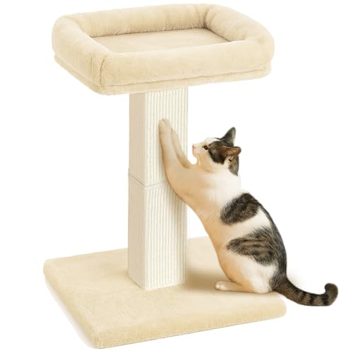 AGYM Kratzbaum für Katzen, 81,3 cm, mit großer Plüsch-Sitzstange, Sisal- und Teppich-Kratzbaum, vertikale Pfosten mit erhöhtem Bett für Hauskatzen, abnehmbarer und waschbarer Bezug, Beige AGYM Kratzbaum für Katzen, 81,3 cm, mit großer Plüsch-Sitzstange, Sisal- und Teppich-Kratzbaum, vertikale Pfosten mit erhöhtem Bett für Hauskatzen, abnehmbarer und waschbarer Bezug, Beige von AGYM