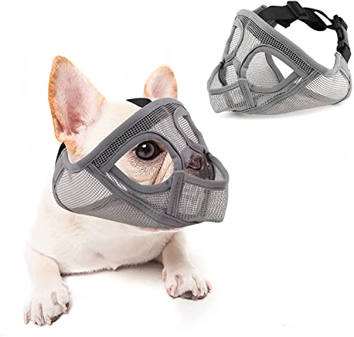 Maulkorb aus Mesh für Hunde mit kurzer Schnauze – Französisch/Englische Bulldogge – verstellbar, atmungsaktiv, Maske zum Beißen, Kauen, Bellen und Trainieren – Grau, XS Maulkorb aus Mesh für Hunde mit kurzer Schnauze – Französisch/Englische Bulldogge – verstellbar, atmungsaktiv, Maske zum Beißen, Kauen, Bellen und Trainieren – Grau, XS von AHDMR